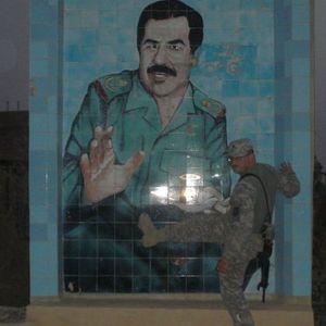 Meet your Posher, Donavan